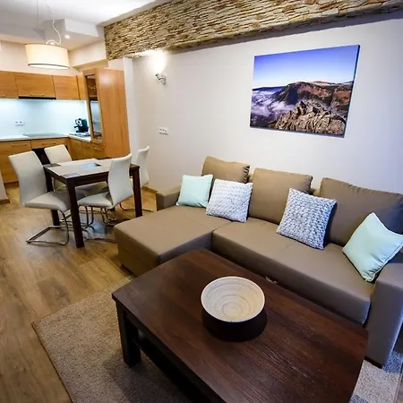 Zdroj 105 Apartment Krynica Zdroj